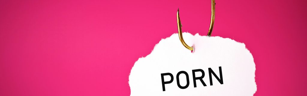 Survey about Porn